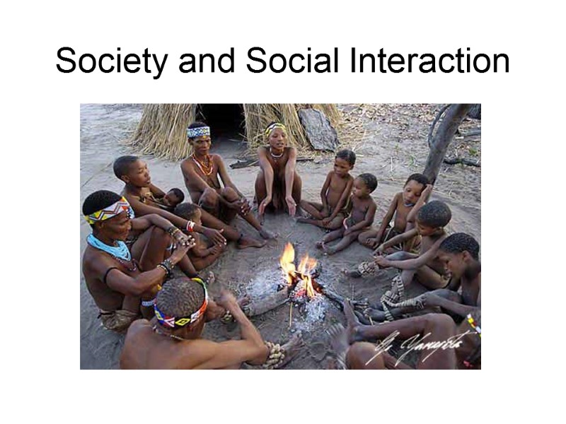 Society and Social Interaction